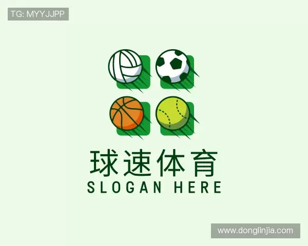 了解球速体育官方网址